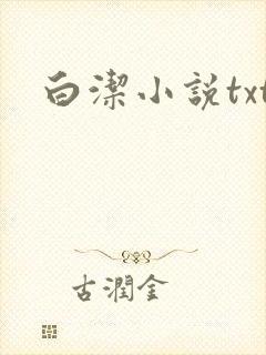 白洁小说txt