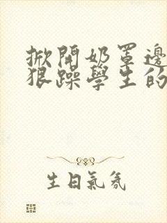掀开奶罩边躁狠狠躁学生的小文字