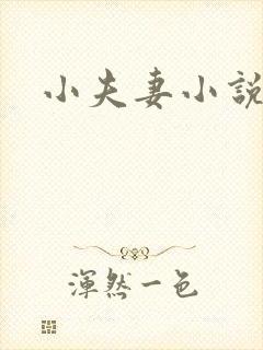 小夫妻小说