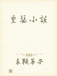 皇瑟小说