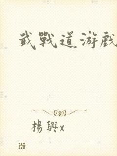 武战道游戏封面