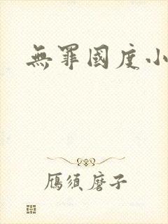 无罪国度小说