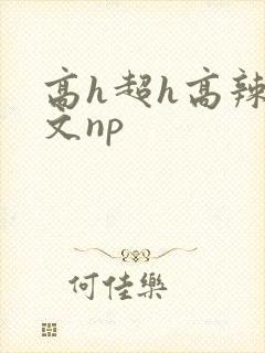 高h超h高辣h文np