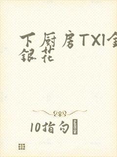下厨房TXl金银花封面