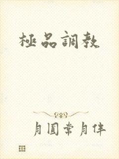 极品调教
