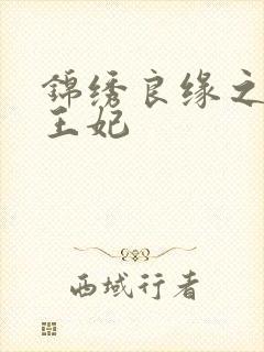 锦绣良缘之北地王妃