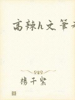 高辣h文笔趣阁