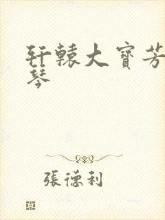 轩辕大宝芳菲雅琴封面