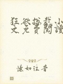 狂欲总裁小说全文免费阅读封面
