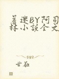 着迷BY阿司匹林小说全文免费阅读