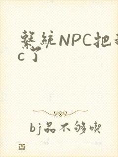 系统NPC把我c了