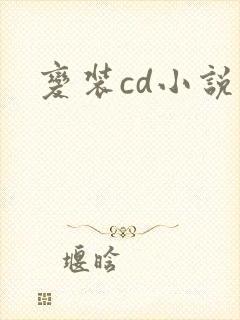 变装cd小说封面