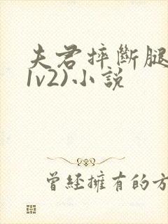 夫君摔断腿后(1v2)小说