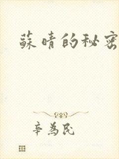 苏晴的秘密小说