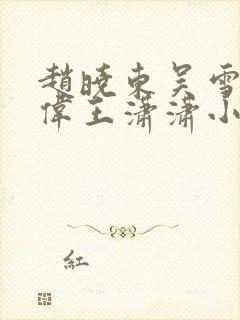 赵晓东吴雪晴郑伟王潇潇小说名字