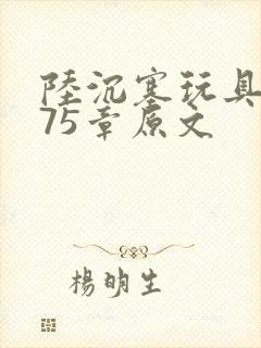 陆沉塞玩具高速75章原文