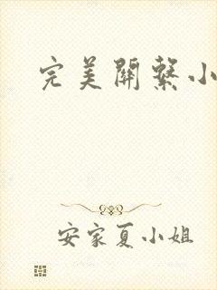完美关系小说