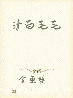 清白毛毛