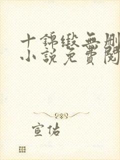 十锦缎无删原著小说免费阅读