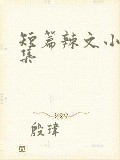 短篇辣文小说合集