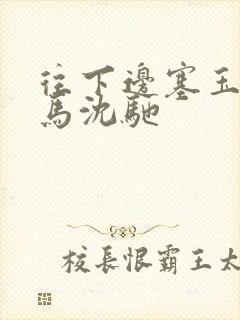 往下边塞玉器骑马沈驰