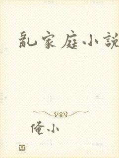 乱家庭小说封面