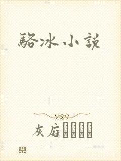 骆冰小说