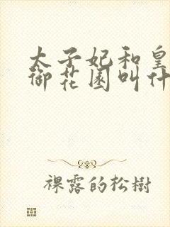 太子妃和皇帝在御花园叫什么小说封面