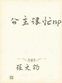 公主很忙npc