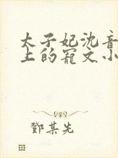太子妃沈音和皇上的宠文小说封面