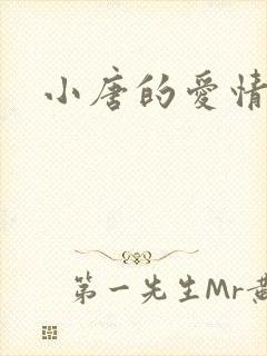 小唐的爱情史