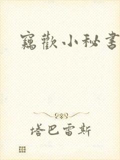 窃欢小秘书