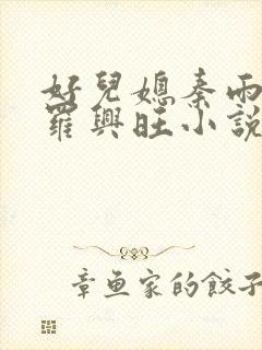 好儿媳秦雨罗明罗兴旺小说