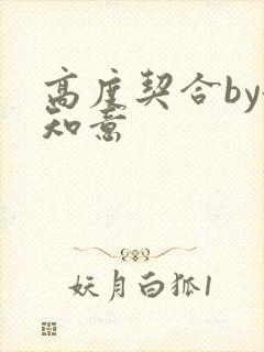 高度契合by洛知意