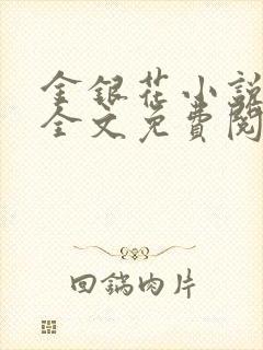 金银花小说在线全文免费阅读