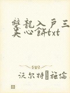 双龙入户三人行夹心饼txt