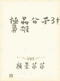 极品公子3续世枭雄