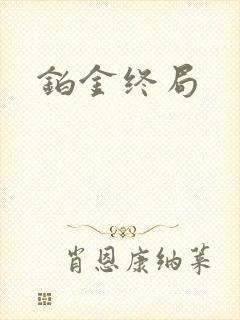 铂金终局