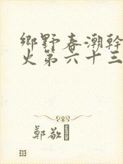乡野春潮干柴烈火第六十三章