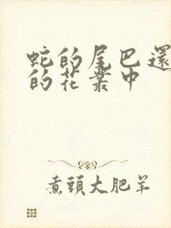 蛇的尾巴还在我的花丛中