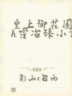 皇上御花园hlh霍冶臻小说