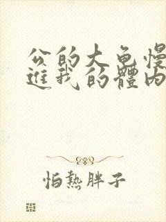 公的大龟慢慢挺进我的体内