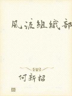 风流组织部长封面