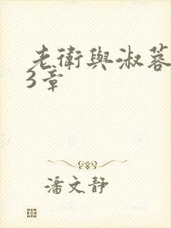 老卫与淑蓉第13章封面