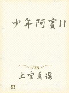 少年阿宾11