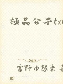 极品公子txt