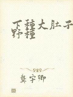 下种大肚子怀孕野种封面