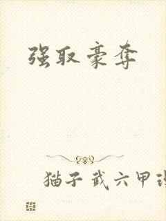 强取豪夺封面
