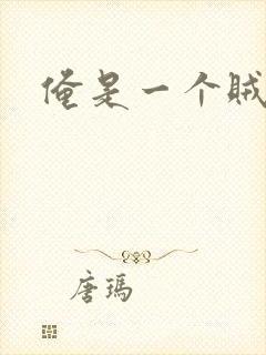 俺是一个贼封面