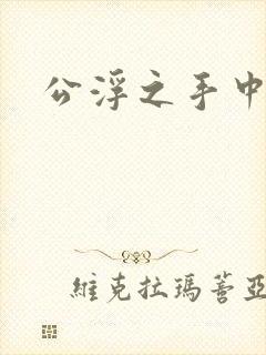 公浮之手中字5